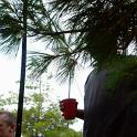 2010-07-04 19.42.51